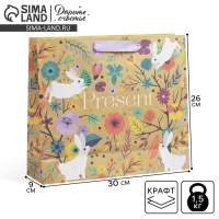 Пакет подарочный крафтовый горизонтальный, упаковка, «Present», 30 х 26 х 9 см Пакет подарочный крафтовый горизонтальный, упаковка, «Present», 30 х 26 х 9 см