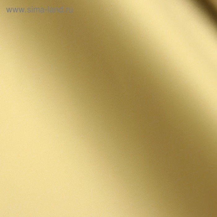 Пленка для цветов Пленка для цветов "Пленка с золотом", цвет белый, 58 см х 5 м