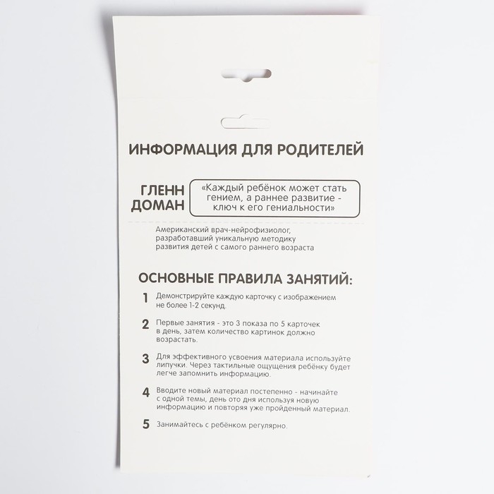 Развивающая игра на липучках &laquo;&lrm;Изучаем мир домашних животных&raquo;, методика Домана, с обучающими карточками по методике Глена Домана