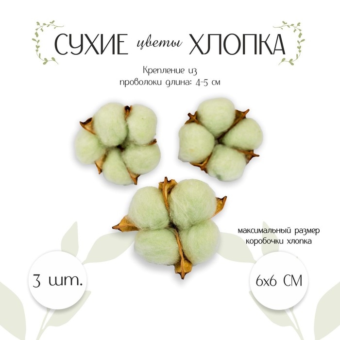Сухие цветы хлопка, набор 3 шт., размер 1 шт. 6 &times; 6 см, цвет зелёный