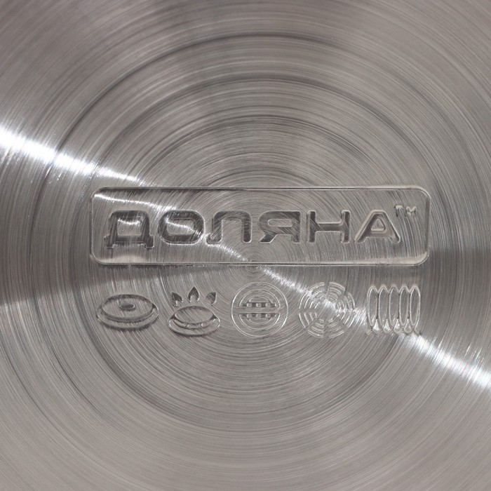 Чайник со свистком из нержавеющей стали Доляна &laquo;Скоттиш&raquo;, 2,8 л