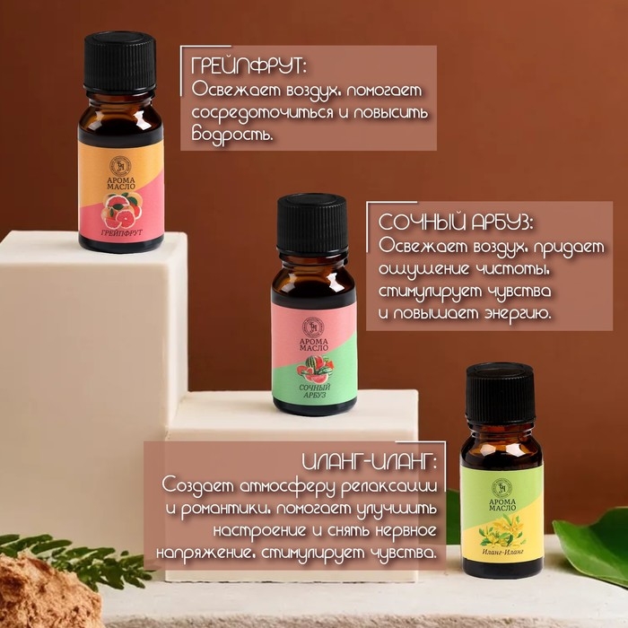 Аромамасло, набор (6 в 1), по 10 мл Аромамасло, набор (6 в 1), по 10 мл "Богатство Аромата" №4