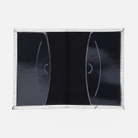 Обложка для паспорта, цвет серебристый Обложка для паспорта, цвет серебристый