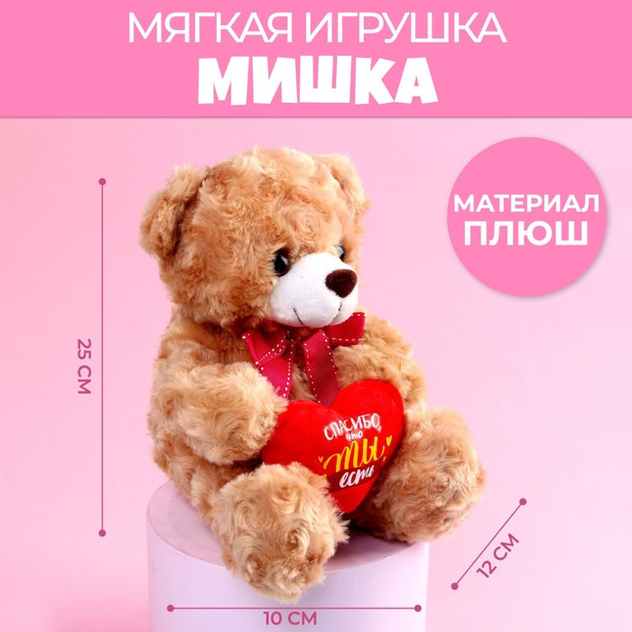 Мягкая игрушка &laquo;Спасибо, что ты есть&raquo;, 22 см., МИКС