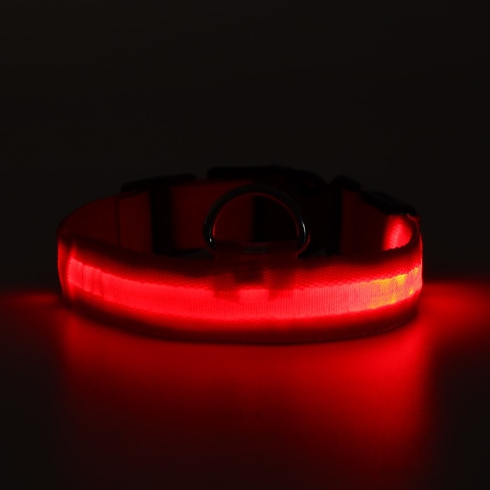 Ошейник с подсветкой размер М, ОШ 40-48 х 2,5 см, 3 режима свечения красный Ошейник с подсветкой размер М, ОШ 40-48 х 2,5 см, 3 режима свечения красный