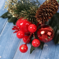 Декор "Зимние грезы" яблоки ягоды шишка веточка со снегом, 15 см Декор "Зимние грезы" яблоки ягоды шишка веточка со снегом, 15 см