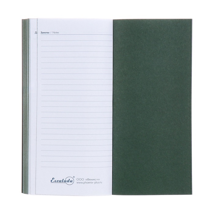Еженедельник датированный 2025 года, 80х165 мм, 64 листа ESCALADA, мягкая обложка из искусственной кожи, блинтовое тиснение, блок 70 г/м&sup2;, зелёный