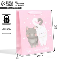 Пакет подарочный ламинированный вертикальный, упаковка, &laquo;Любви и тепла&raquo;, M 26 х 30 х 9 см