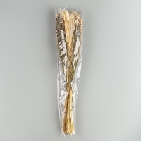 Букет из сухоцветов &laquo;Мечта&raquo;, набор из 85 шт., высота 47 см