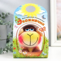 Растущий подарок травка "Обезьяна" Растущий подарок травка "Обезьяна"