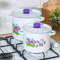Набор кастрюль &laquo;Фиалка&raquo;, 2 предмета: 3.5 л, 5.5 л, индукция, цвет МИКС
