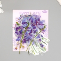 Наклейки для творчества пластик PVC "Сиреневое поле" набор 40 шт 9х10.5 см