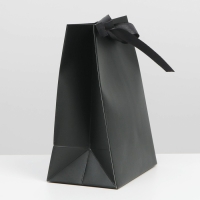 Пакет подарочный с лентой, упаковка, &laquo;Чёрный&raquo;, 13 х 19 х 9 см