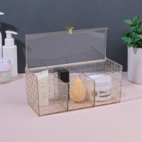 Органайзер для хранения «SHINE», с крышкой, 3 секции, 21,5 × 8,8 × 9,5 см, цвет прозрачный/золотистый Органайзер для хранения «SHINE», с крышкой, 3 секции, 21,5 × 8,8 × 9,5 см, цвет прозрачный/золотистый