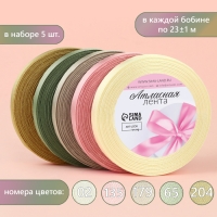 Набор атласных лент «Тёплый день», 5 шт, размер 1 ленты: 10 мм × 23 ± 1 м Набор атласных лент «Тёплый день», 5 шт, размер 1 ленты: 10 мм × 23 ± 1 м