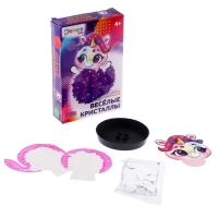 Набор для опытов &laquo;Весёлые кристаллы: Единорожка&raquo;, сделай сам