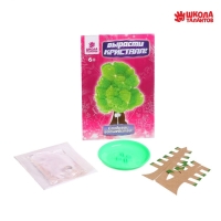 Набор для выращивания кристалла &laquo;Волшебное дерево&raquo; цвет зелёный