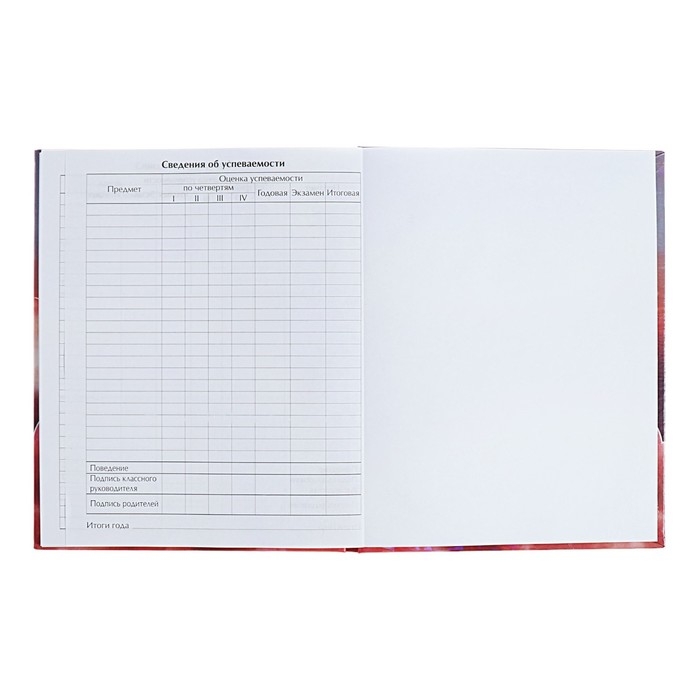 Дневник для 5-11 классов Дневник для 5-11 классов "Котята в облаках", твёрдая обложка, голография, 48 листов