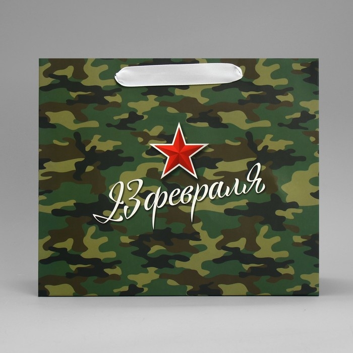 Пакет подарочный ламинированный горизонтальный, упаковка, &laquo;Звезда&raquo;, ML 27 х 23 х 11.5 см