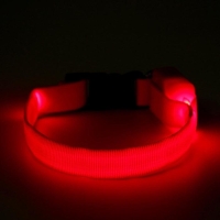 Ошейник светящийся узкий для небольших собак, 26 х 1,5 см, красный Ошейник светящийся узкий для небольших собак, 26 х 1,5 см, красный
