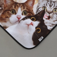 Фартук кухонный &laquo;Коты&raquo;, полноцветный