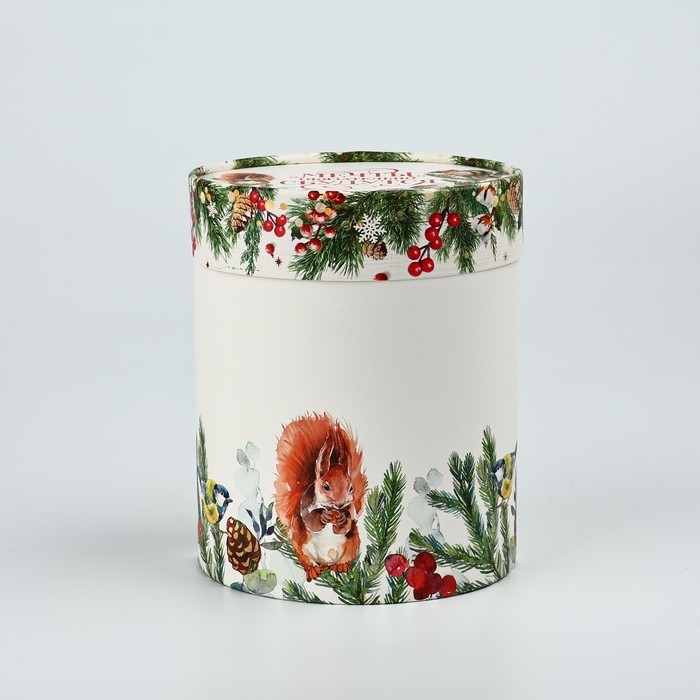 Коробка подарочная круглая &laquo;Мечты&raquo;, 12 х 16 см, Новый год