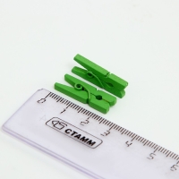 Набор прищепок для декора 50 шт., зелёные — 2,5 см Набор прищепок для декора 50 шт., зелёные — 2,5 см