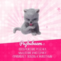 Аксессуары для кукол &laquo;Любимый питомец&raquo;