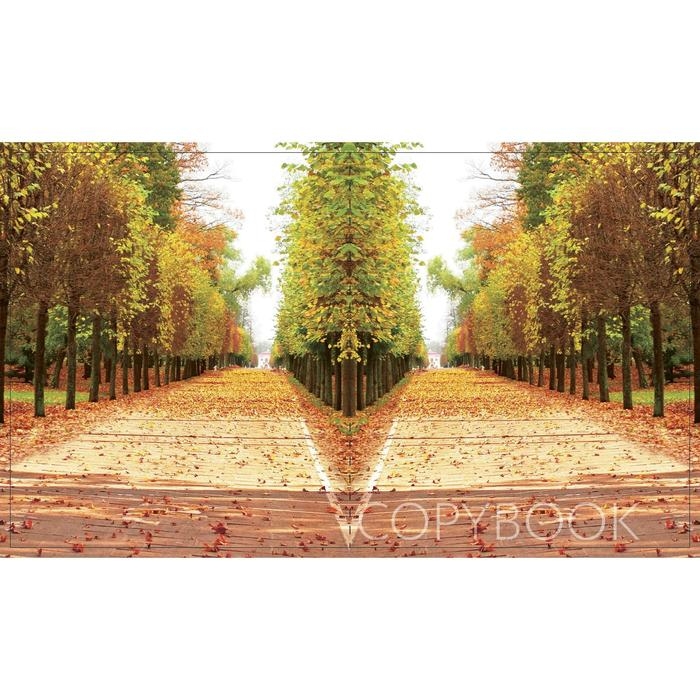 Тетрадь 96 листов в клетку Calligrata "Прекрасная пора", обложка мелованный картон, блок офсет, МИКС