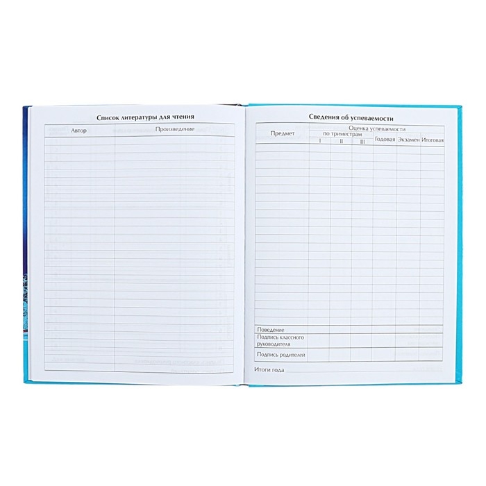 Дневник универсальный для 1-11 классов Дневник универсальный для 1-11 классов "Северное сияние", твёрдая обложка, голография, 40 листов