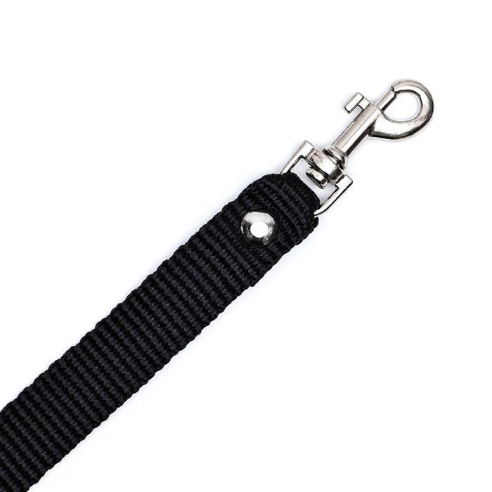 Поводок капроновый, 120 х 1,5 см, чёрный Поводок капроновый, 120 х 1,5 см, чёрный