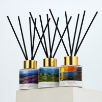 Диффузор ароматический палочки, ароматизатор для дома &laquo;Аромадиффузор: Тихий вечер&raquo;, жасмин, 50 мл.