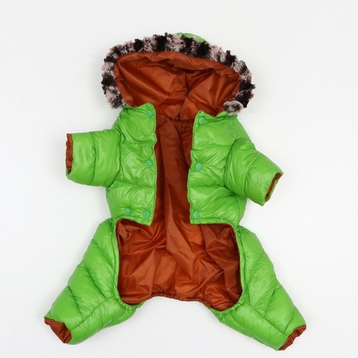 Комбинезон Комбинезон "Лайв" с утяжкой, размер 10 (ДС 25 см, ОГ 34 см, ОШ 24 см), салатовый