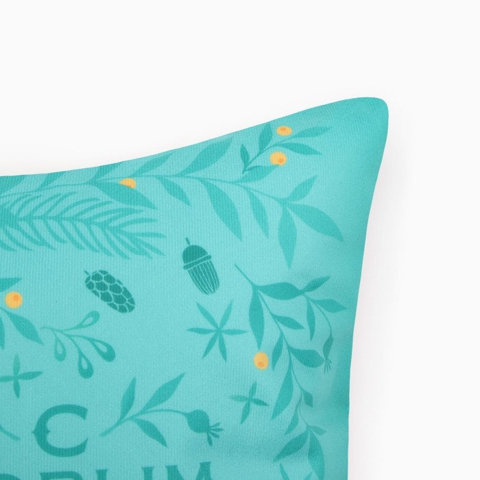 Новый год. Символ года. Змея. Чехол на подушку Этель &laquo;С Новым Годом&raquo; 40х40 см, велюр