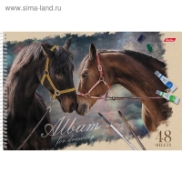 Альбом для рисования А4, 48 листов на гребне "Ассорти", обложка мелованный картон, блок 100 г/м2, перфорация на отрыв, МИКС Альбом для рисования А4, 48 листов на гребне "Ассорти", обложка мелованный картон, блок 100 г/м2, перфорация на отрыв, МИКС