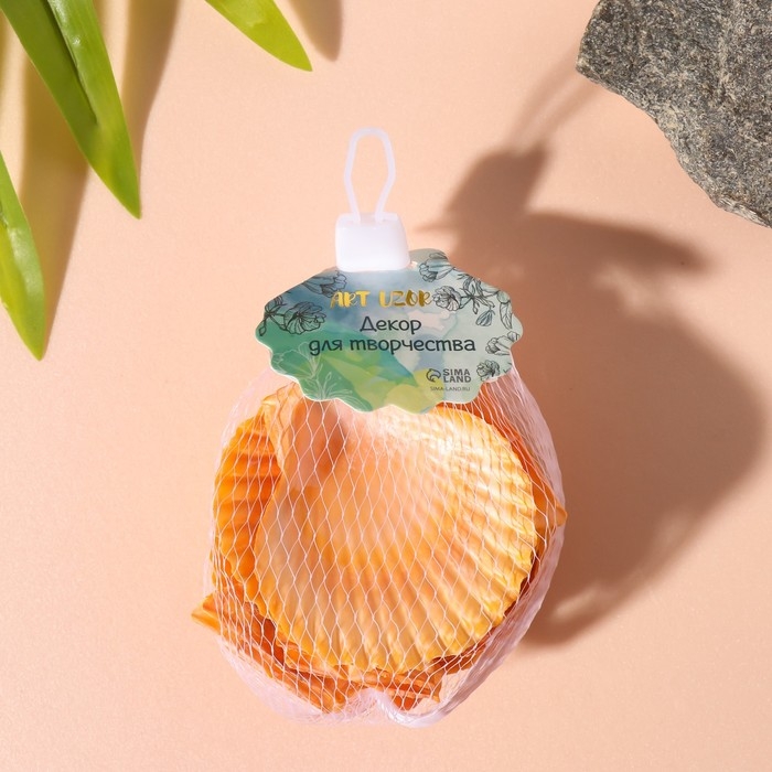 Ракушки природные декоративные Ракушки природные декоративные "Гребешок рыжая" набор 100 гр