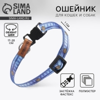 Ошейник для собак и кошек с фастексом &laquo;Любимчик&raquo;, 30х1 см