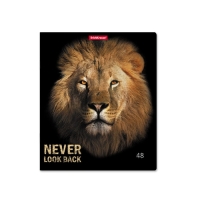 Тетрадь 48 листов в клетку, ErichKrause Strong and Brave, обложка мелованный картон, матовая ламинация, блок офсет 100% белизна, МИКС (1 вид в спайке) Тетрадь 48 листов в клетку, ErichKrause Strong and Brave, обложка мелованный картон, матовая ламинация, блок офсет 100% белизна, МИКС (1 вид в спайке)