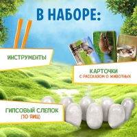 Набор для раскопок &laquo;Жители фермы&raquo;