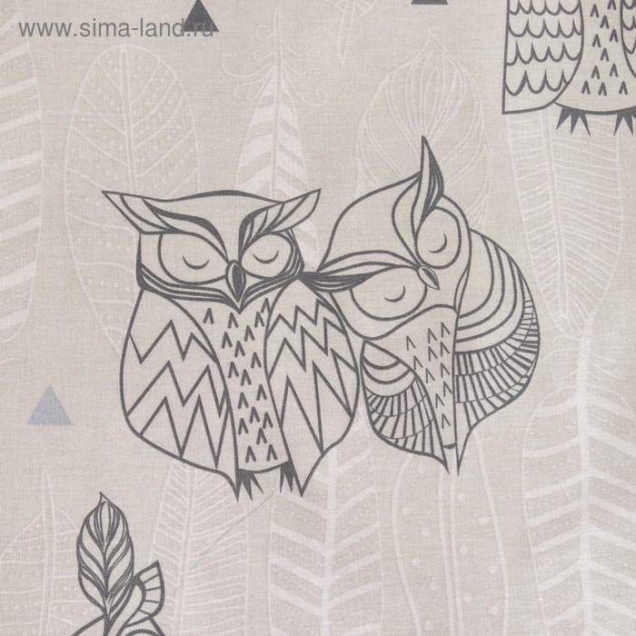 Постельное бельё "Этель" евро Ушастые совы (вид 2) 200 х 217 см, 220 х 240 см, 70 х 70 - 2 шт