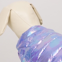 Куртка для собак двухсторонняя с утяжкой, размер 10 (ДС 25, ОГ 34,ОШ 24),фиолетовая/жёлтая Куртка для собак двухсторонняя с утяжкой, размер 10 (ДС 25, ОГ 34,ОШ 24),фиолетовая/жёлтая