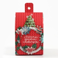 Новый год! Чай чёрный в коробке-домик &laquo;Ярких моментов&raquo;, со вкусом: Имбирный пряник, 50 г.