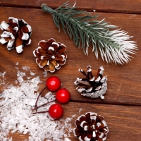 Новогодний набор &laquo;Снег&raquo;