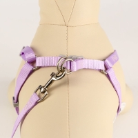 Комплект амуниции с мягкой шлейкой, S, поводок 120 х 1 см, ОШ 20-35 см, ОГ 20-35 см, сиреневый 71490