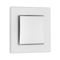 Выключатель TOT Glossy Glass, 10 А, 1 клавиша, скрытый, стекло, серебристый Выключатель TOT Glossy Glass, 10 А, 1 клавиша, скрытый, стекло, серебристый