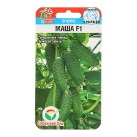 Семена Огурец Маша F1, самоопыляемый, 5 шт в упаковке Семена Огурец Маша F1, самоопыляемый, 5 шт в упаковке