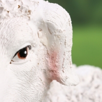 Садовая фигура "Ягненок лежит" 29х15х17см /// Садовая фигура "Ягненок лежит" 29х15х17см ///