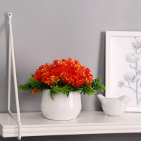 Бонсай в горшке "Гиацинт" 9х12 см, микс Бонсай в горшке "Гиацинт" 9х12 см, микс