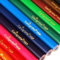 Карандаши 12 цветов TOP Calligrata, в картонной коробке, диаметр грифеля - 3мм, 5B Карандаши 12 цветов TOP Calligrata, в картонной коробке, диаметр грифеля - 3мм, 5B