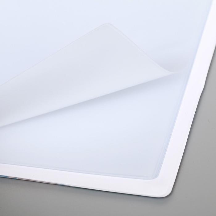 Папка для семейных документов Папка для семейных документов "Твои документы в надежных лапках" 8 файлов А4